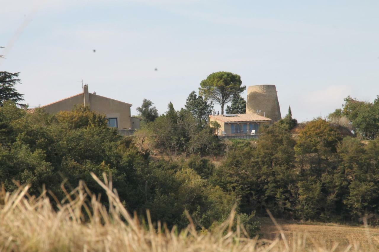 La Bleuette * Montmaur (Aude)