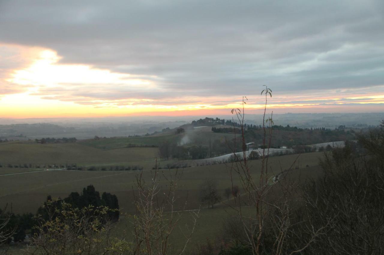 La Bleuette * Montmaur (Aude)